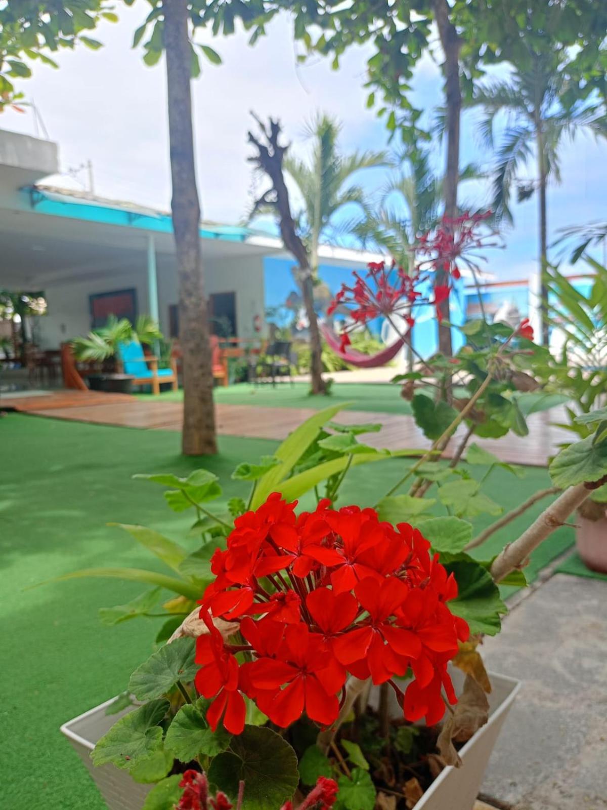 Galapagos Isabela Hotel Loja Puerto Villamil Luaran gambar